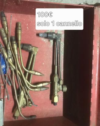 cannello