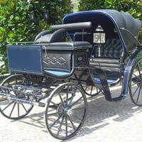 Carrozza per cavallo vittoria glinkowsky