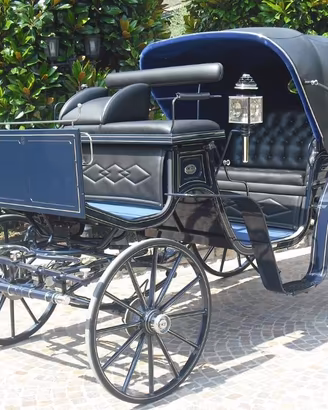 Carrozza per cavallo vittoria glinkowsky
