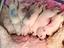 Immagine 3