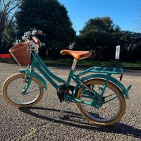 bici alpina cerchio 16