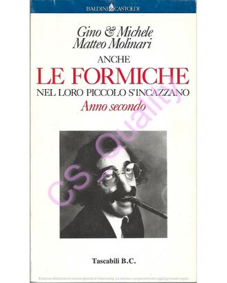 ANCHE LE FORMICHE NEL LORO PICCOLO S'INCAZZANO 2