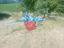 Immagine 6
