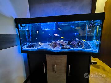 acquario