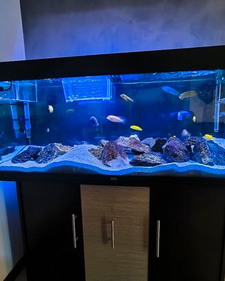 acquario