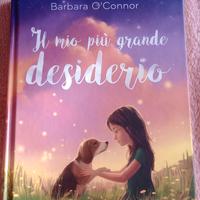 il mio più grande desiderio 