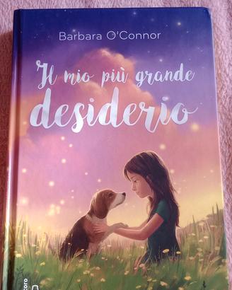 il mio più grande desiderio 