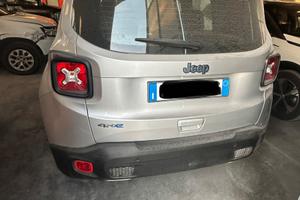 Jeep renegade incidentata