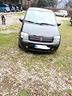fiat-panda