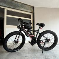 Bicicletta elettrica