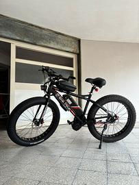 Bicicletta elettrica