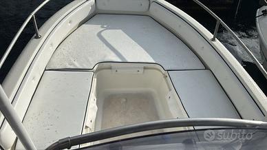 Ranieri azzurra con Motore Selva Yamaha 40/60