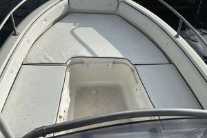 Ranieri azzurra con Motore Selva Yamaha 40/60