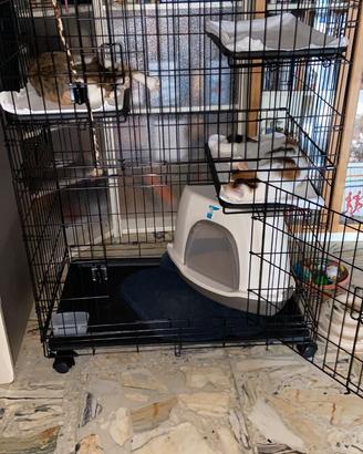 Gabbia pieghevole per gatti o piccoli animali