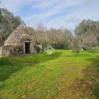 RUSTICO A CEGLIE MESSAPICA