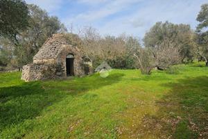 RUSTICO A CEGLIE MESSAPICA