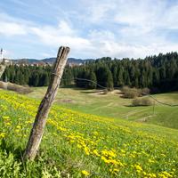 Terreno agricolo con potenzialità edificatoria