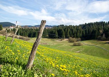 Terreno agricolo con potenzialità edificatoria