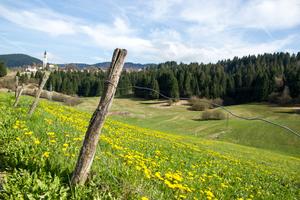 Terreno agricolo con potenzialità edificatoria