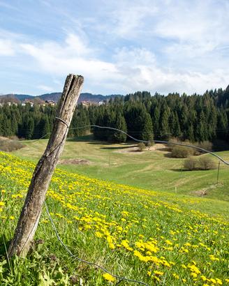 Terreno agricolo con potenzialità edificatoria