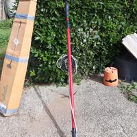 abbacchiatore per olive