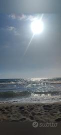 Settembre 1/7x 5 posti mare a 300m