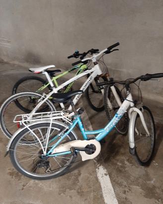 biciclette 2 misure 