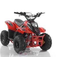 Apollo motor by cvm quad mikro 110