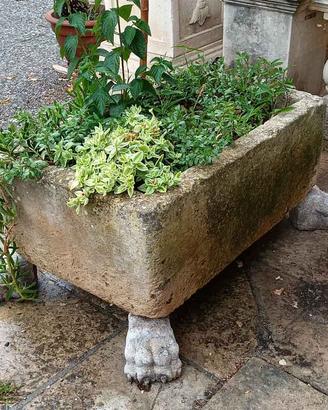 VASCA CON PIEDI A ZAMPA DI LEONE