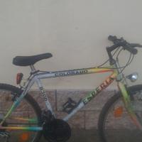 bicicletta mountain bike