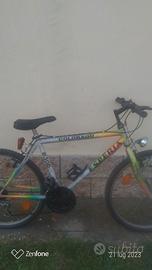 bicicletta mountain bike