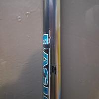 canna da pesca fissa