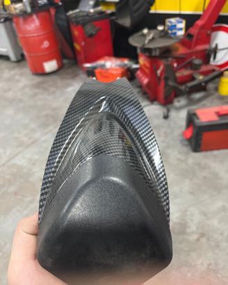 Unghia monoposto rs125