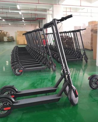 MONOPATTINO ELETTRICO 350 WATT A RATE CON KLARNA