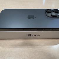 IPHONE 16 PRO MAX 256 GB