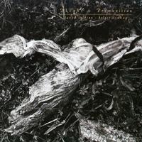 DAVID SYLVIAN HOLGER CZUKAY - Plight & Premonition