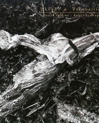 DAVID SYLVIAN HOLGER CZUKAY - Plight & Premonition
