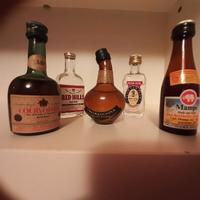 Alcolici mignon da collezione