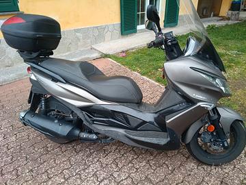 Kawasaki j300