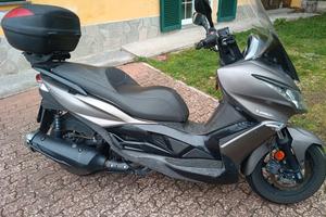 Kawasaki j300