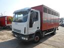 iveco-eurocargo-100e18-trasporto-animali
