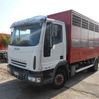 Iveco eurocargo 100e18 trasporto animali