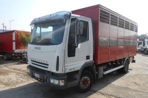Iveco eurocargo 100e18 trasporto animali