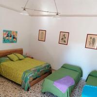 Settembre Procida in un tipico limoneto Procidano