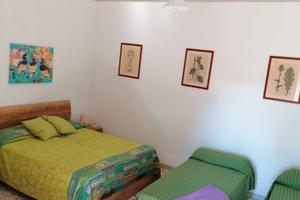 Settembre Procida in un tipico limoneto Procidano