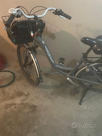 Bicicletta elettrica pellegrini