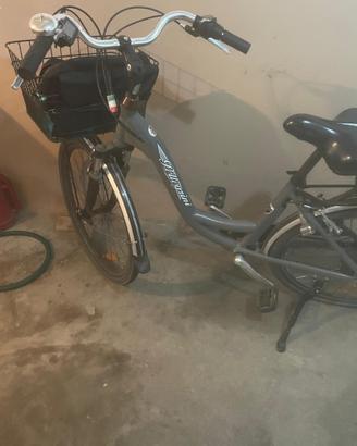 Bicicletta elettrica pellegrini