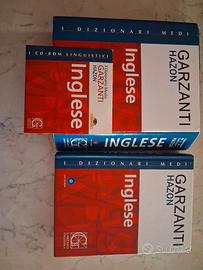 dizionario lingua inglese
