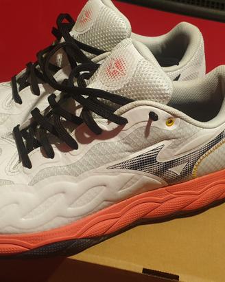 Mizuno Wave enforce court