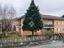 Immagine 6